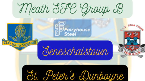 2023 Meath SFC Group B Preview