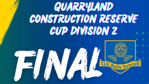 Reserve Cup Division 2 Final Preview