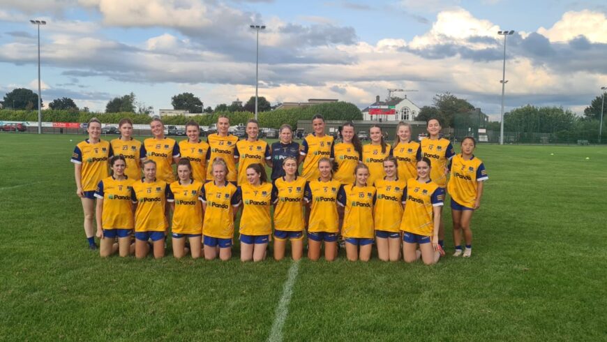 Hard Working Seneschalstown Reap Rewards