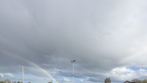 Goals Undo Seneschalstown